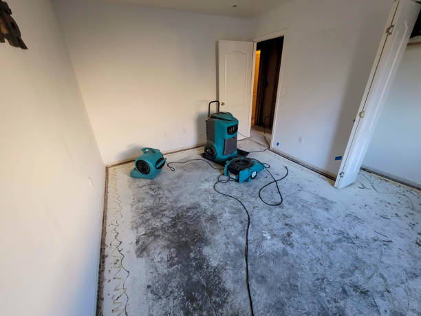 Best Fire Damage Restoration  in Riverwoods, IL