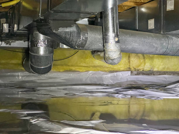 Best Mold removal after water damage  in Riverwoods, IL