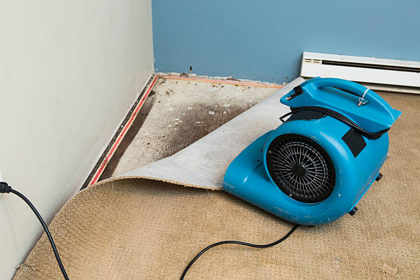 Best Flood restoration services  in Riverwoods, IL